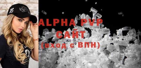 амф Надым
