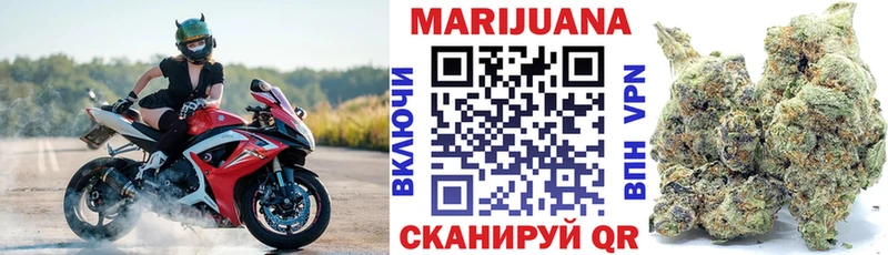 Каннабис гибрид Николаевск-на-Амуре
